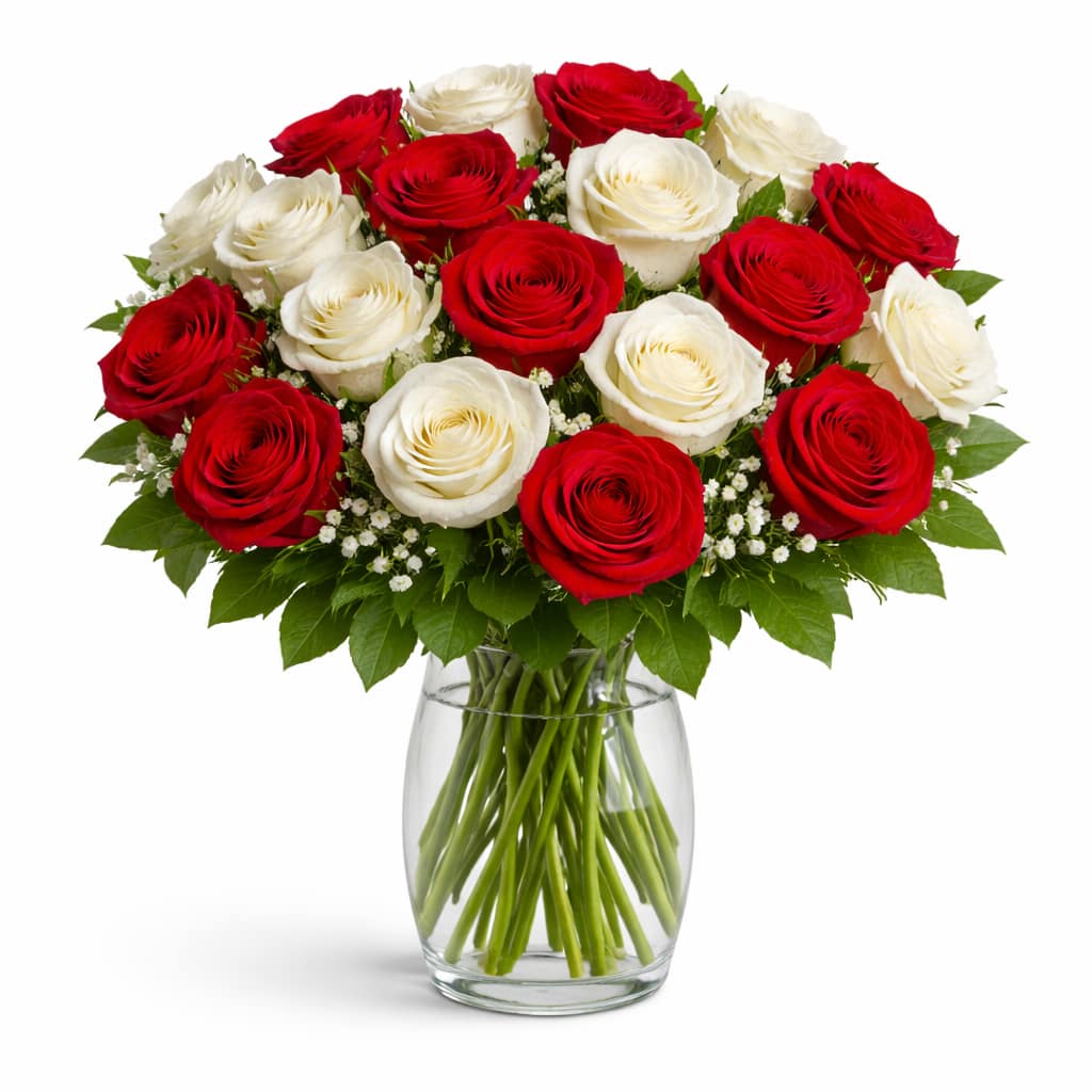 Two Dozen Red and White Roses in a Vase